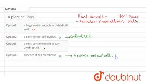 The rigid exterior around the cells is necessary to animal cells do not have these rigid exteriors. A Plant Cell Has Youtube