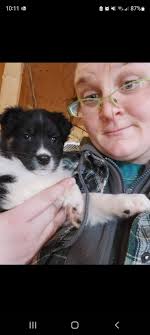 Dutchess' 4th birthday milestones and adventures