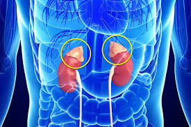 Image result for Norepinephrine