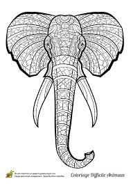 Le vélo de l'éléphant (the elephant and the bicycle) un court métrage de / a short film by olesya shchukina (9 min).… Dessin A Colorier D Une Tete D Elephant D Afrique