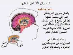 معلومات مفيدة حول التذكر و النسيان