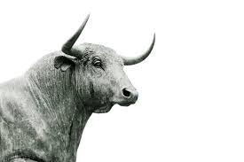 În decembrie 2019 te gândești mai mult la ceea ce este important. Compatibilitate Zodie Taur Cum Sunt Relatiile Cu Cele 12 Zodii Sfatulparintilor Ro