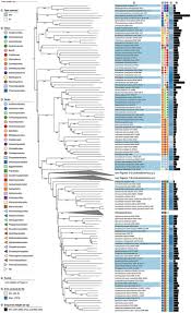 frontiers genome based taxonomic classification of the