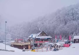 This ski area has 6 lifts, and they are exciting to catch. Gianni Conquers Epleny With His Italian Food Trademagazin