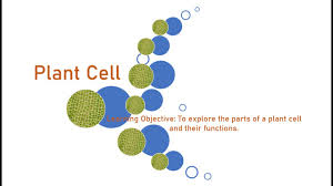 We did not find results for: Science Grade 5 Parts Of A Plant Cell Youtube