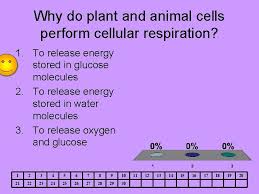 We did not find results for: Cellular Respiration Introduction All Cells Must Have Energy