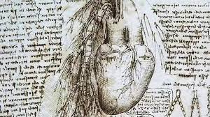 Maybe you would like to learn more about one of these? Cosi Leonardo Da Vinci Scopri I Segreti Di Cuore E Sangue Anticipando Gli Studi Sull Arteriosclerosi La Repubblica