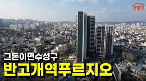 설마 청약 넣으실 건 아니죠? 반고개역 푸르지오 분석 - YouTube