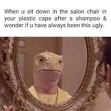 We've gathered our favorite ideas for 1080 x 1080p memes, explore our list of popular images of 1080 x 1080p memes photos collection with high resolution. Discover 10 New Salon Memes In 2021