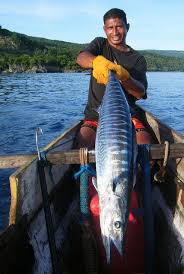 Pin On Food Forests And Water