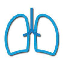 Der Grad Der Schwerbehinderung Copd Selbsthilfe Gemeinschaft