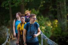 Hike & Brew: Early Fall Flowers