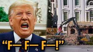 How to download the AO Scan app to your android phone