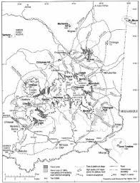 Image result for Ancylobothrys tayloris