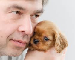 Kennel "kiev-celebrity"