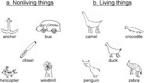 He was looking at his reflection in water. Drawings Of A Nonliving And B Living Things From A Patient With Download Scientific Diagram