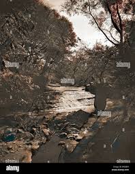 Wade park cleveland hi-res stock photography and images