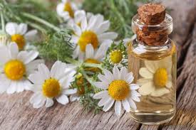 We did not find results for: 13 Manfaat Chamomile Untuk Kesehatan