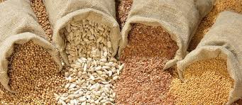 Seeds are the foundation of agriculture. Seed Banking And Its Benefits The Permaculture Research Institute