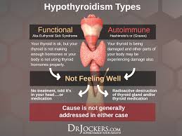 How To Test Your Thyroid Function At Home Drjockers Com