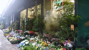 We can take orders on the phone and on our website. The Local S Guide To Nyc S Flower District Journal Hotels