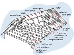 Skillion roofs look like triangle halves with the inclining hypotenuse making up he roof. Roof Framing Elements Build