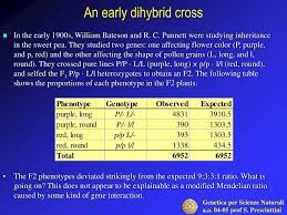 What is the percentage of the flowers being pink and short? Ppt An Early Dihybrid Cross Powerpoint Presentation Free Download Id 3214001
