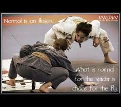 Spider And The Fly Jiu Jitsu Techniques Jiu Jitsu Brazilian Jiu Jitsu