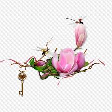 Clipart Png Clusters Magnolia Flowers 8 Png Files Magnolia flowers greeting card for sale by nathan abbott. clipart png clusters magnolia flowers