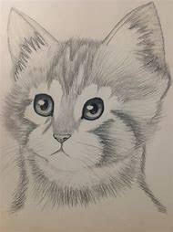 It offers a closer look at drawing animal eyes and whiskers among other features of your feline friends. Pencil Drawing Easy Drawing Ideaeasy Pencil Drawing Of Animals Drawing