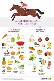 What Horses Can And Can T Eat Horsemart