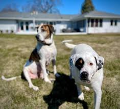 Kathy N Deets (@kathydeets) • Instagram photos and videos