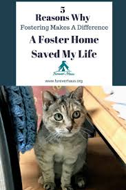 Each Year Over 3 5 Million Animals Are Euthanized At Shelters Across The United States Animal Rescues Groups Smal Animals Pet Sitters International Pet Care