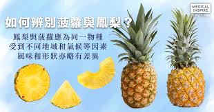 As a formal rank in tendai. æ„æƒ³ä¸åˆ° è è˜¿é³³æ¢¨åŽŸä¾†ä¸¦ä¸ç›¸åŒ å¾ž3æ–¹é¢åˆ†è¾¨å…©è€… Medical Inspire é†« æ€ç¶­