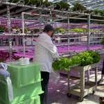 Gonzaga Repurposes Hydroponic Greenhouse To Provide Fresh Produce For Neighbors In Need Kxly