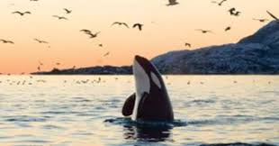 Leonard RUEL Obituary