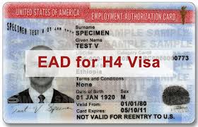 That is why it is important to keep up with the latest news about visa processing in the us. Us Decides To Allow Work Permits To Spouses Of H 1b Visa Holders