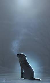 Wolf boy anime boys picture 149446. Sad Anime Wolf Wallpapers Wallpaper Cave