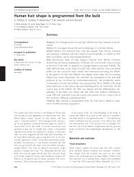 Hair composition is an important part of curly hair structure, because it's the base of what makes hair look the way it does. Pdf Human Hair Shape Is Programmed From The Bulb