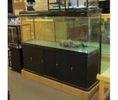 Aquarium fish sale groups these oddballs by region: Curved Long Aquarium Buy In Glen Waverley