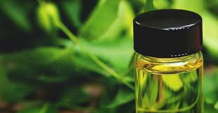 Neem oil has many benefits, including its ability to provide hair care & skin care, protect the immune system neem oil is derived from the seeds and fruit of the neem tree (azadirachta indica), which is. How To Harness The Power Of Neem Oil For Plants