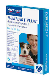 iverhart plus ivermectin pyrantel flavored chewables