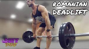 What muscles does each one work? Top 10 Exercises For Football Strength And Speed