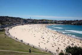 A wide variety of tsunami 2020 options are available to you, such as sports park. Monster Tsunami Could Wipe Out Australia S East Coast And Kill 6 5 Million In Hours