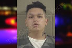 Asmir Mendiola https://thegeorgiagazette.com/whitfield/asmir-mendiola/