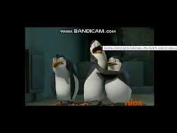 Discover the secrets of the greatest and most hilarious covert birds in the global espionage biz: Kowalski Private And Rico Crying Youtube