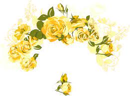 ورد أصفر png