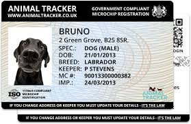Pet identity uk is the most trusted pet microchip database registration for dog and pet microchips, we supply pet microchips to vets, breeders here at pet identity uk pet microchip database we offer professional pet microchip supplies and services and we are the national choice for government. Animal Tracker Animal Tracker Pet Identification Card