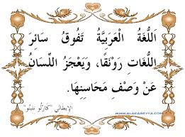 اقوال عن اللغه العربيه لغة عربية