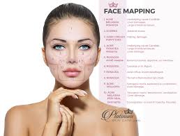 Pimple Diagram Face Wiring Diagrams